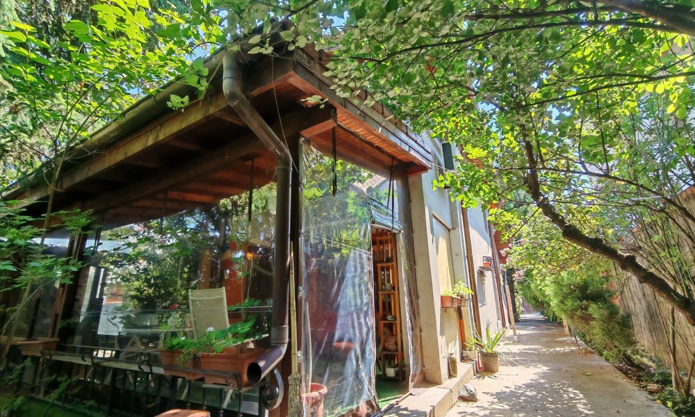 Vila cu sera si gradina, Arcasilor
